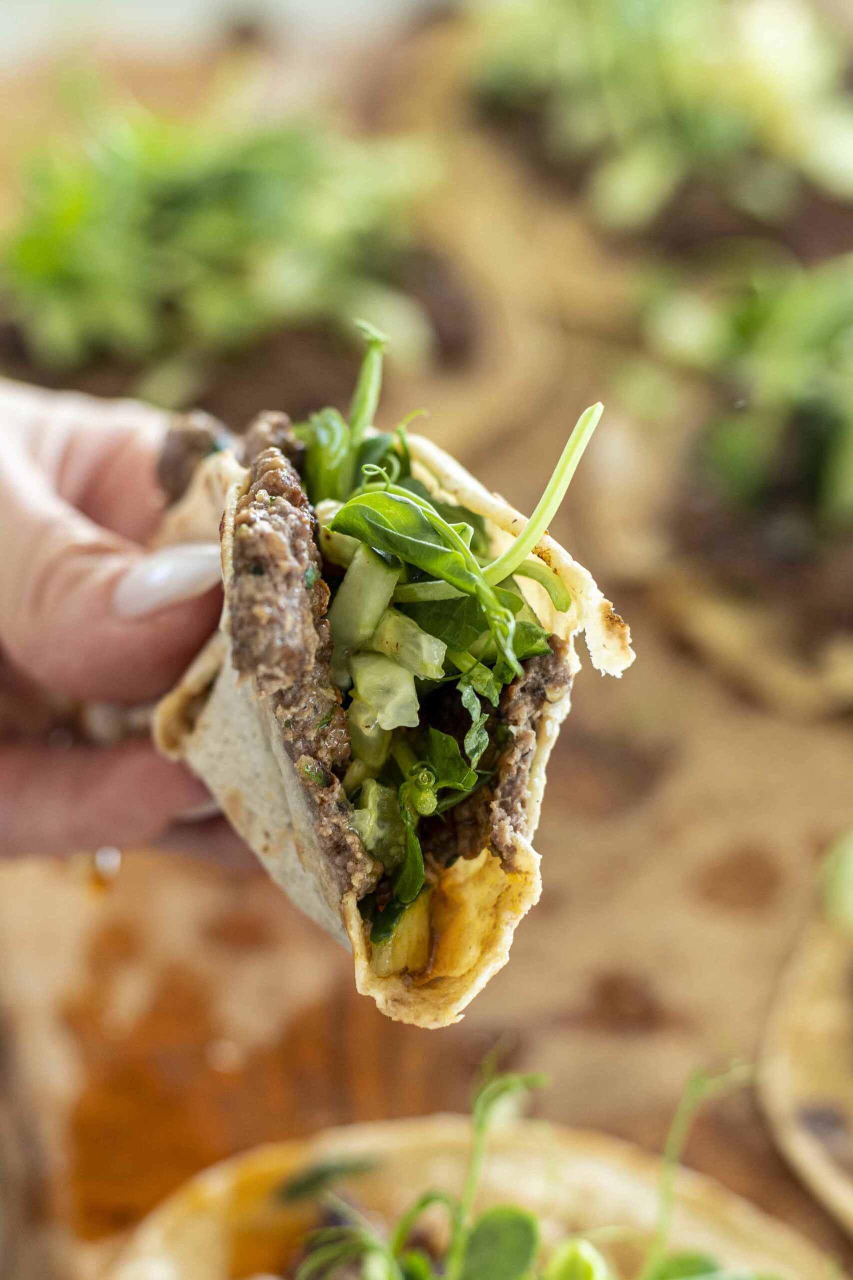 Smash dumpling tacos