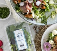 Sumarlegt kjúklingasalat með mozzarella, hráskinku og gulri melónu