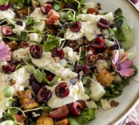 burrrata og kirsuberja kjúklingasalat