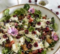 burrrata og kirsuberja kjúklingasalat