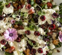 burrrata og kirsuberja kjúklingasalat