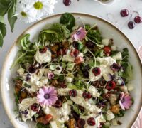 burrrata og kirsuberja kjúklingasalat