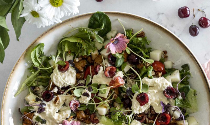 burrrata og kirsuberja kjúklingasalat