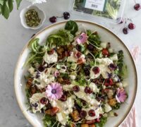 burrrata og kirsuberja kjúklingasalat