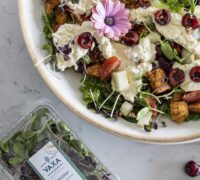 burrrata og kirsuberja kjúklingasalat