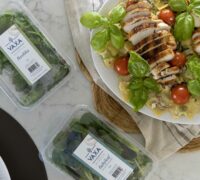mömmupastað - kjúklinga ravioli í hvítlauks rjómasósu með babyleaf