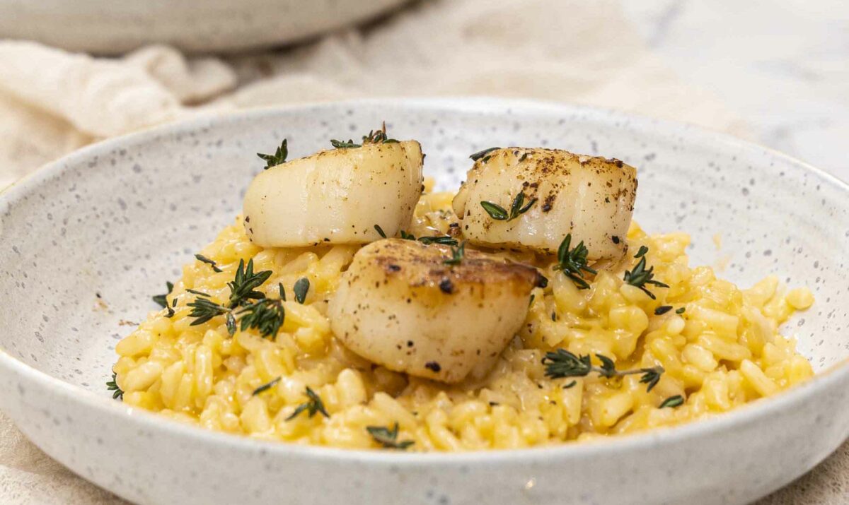 Hörpuskelja risotto