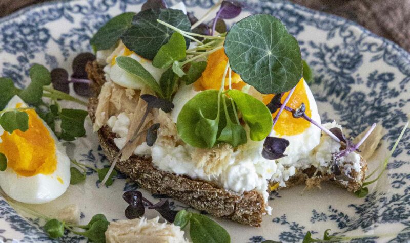 Sprettubrauð - prótein og trefjaríkt ristabrauð með túnfisk, kotasælu og sprettum