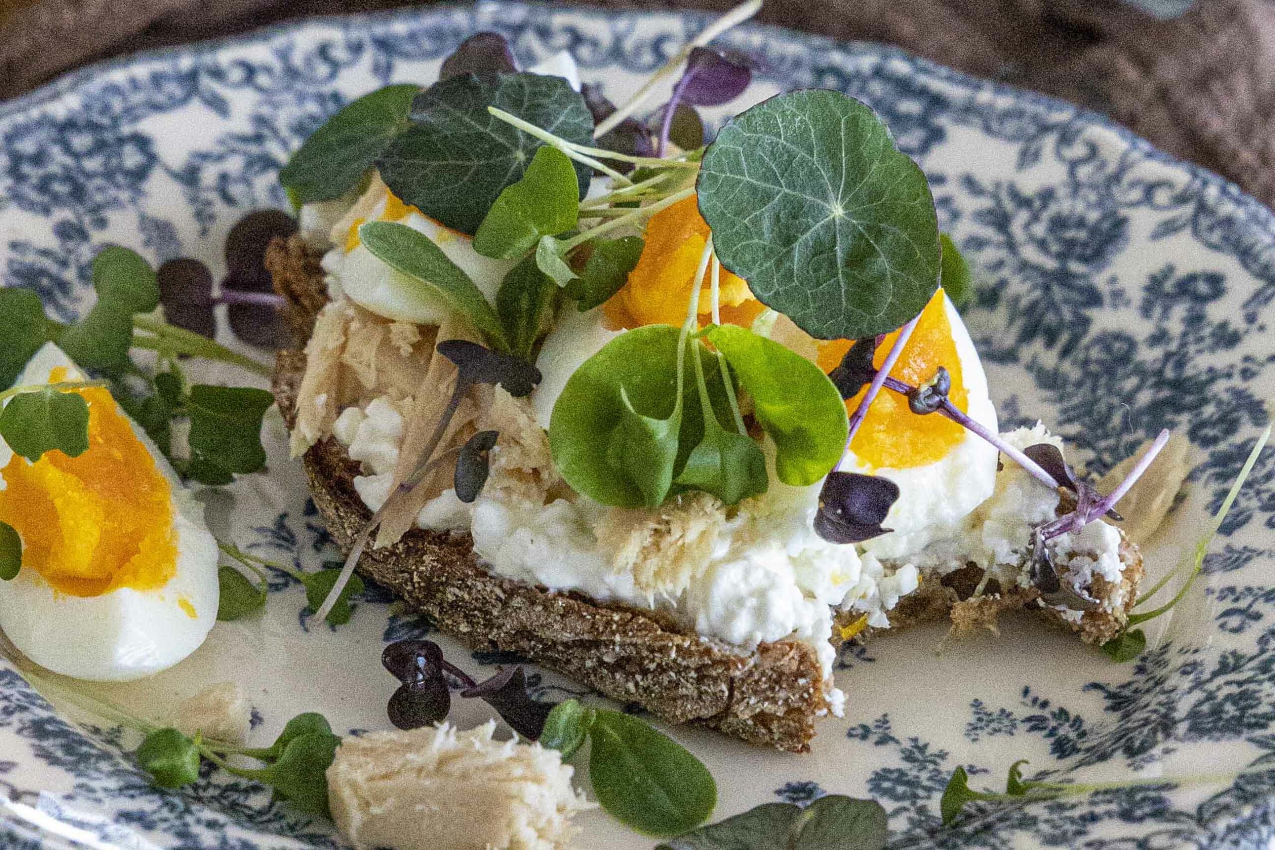 Sprettubrauð - prótein og trefjaríkt ristabrauð með túnfisk, kotasælu og sprettum