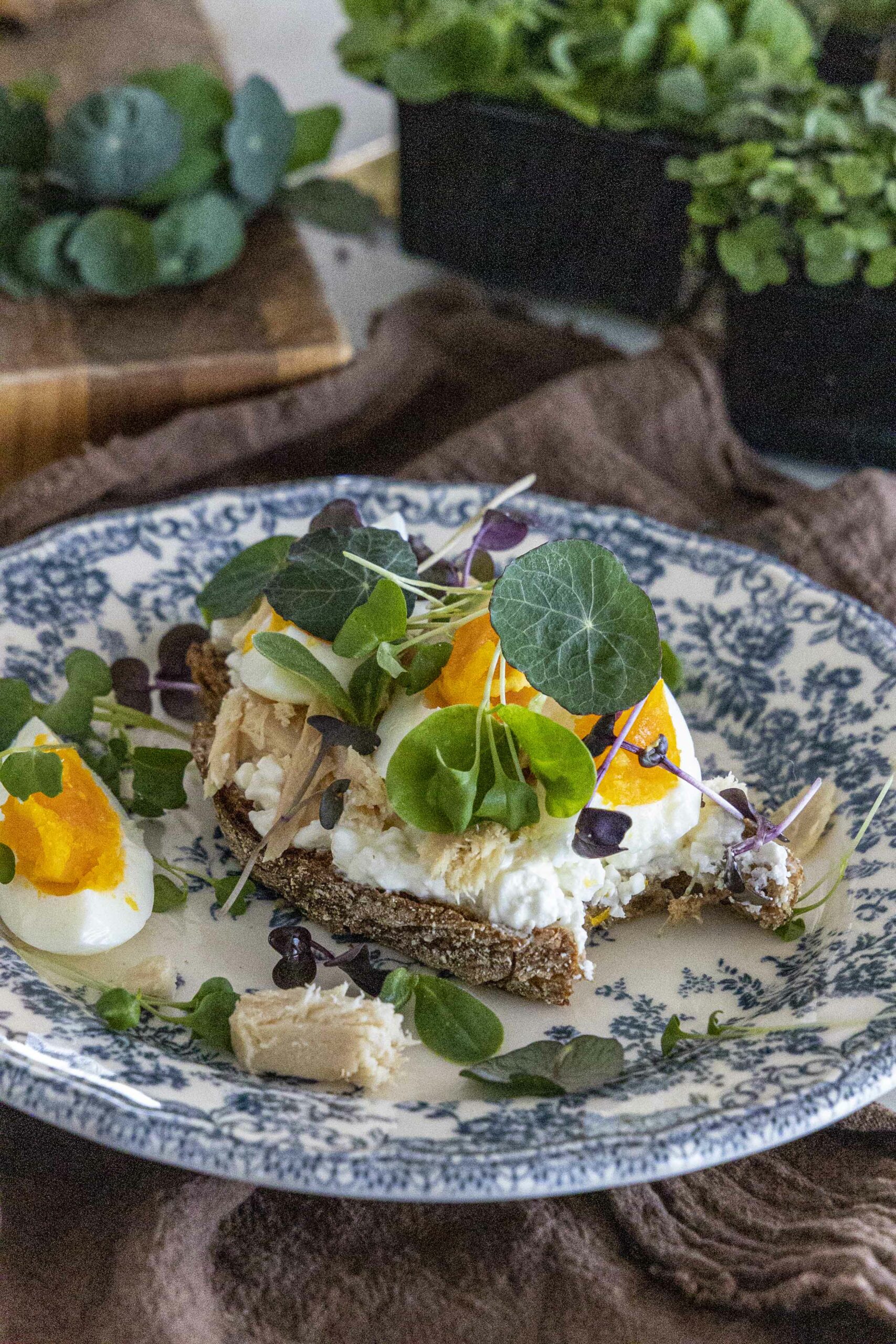 Sprettubrauð - prótein og trefjaríkt ristabrauð með túnfisk, kotasælu og sprettum