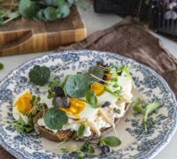 Sprettubrauð - prótein og trefjaríkt ristabrauð með túnfisk, kotasælu og sprettum