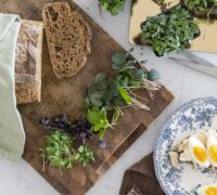 Sprettubrauð - prótein og trefjaríkt ristabrauð með túnfisk, kotasælu og sprettum