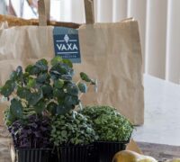 Ferskt salat með perum, brómberjum og litríkum sprettum