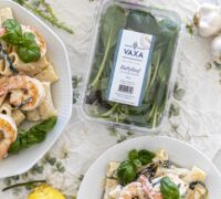 Sítrónu pasta með rjómaostasósu