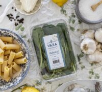 Sítrónu pasta með rjómaostasósu