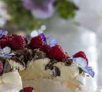 Hjúplakkrís pavlova