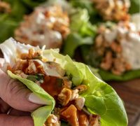 Buffalo kjúklinga salatvefjur