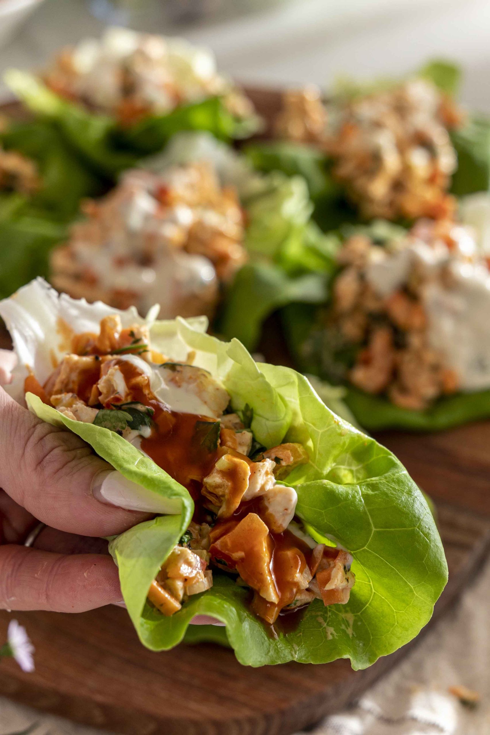 Buffalo kjúklinga salatvefjur