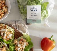 Buffalo kjúklinga salatvefjur