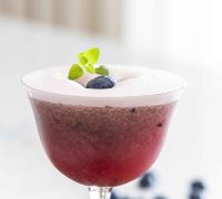 Bláberja vodka sour