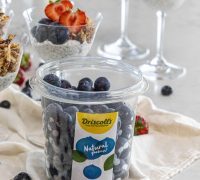 Berja overnight chiagrautur